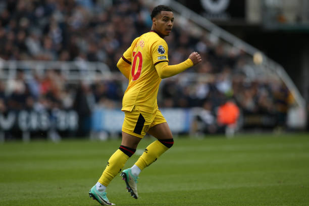 的全面能力 的全面能力