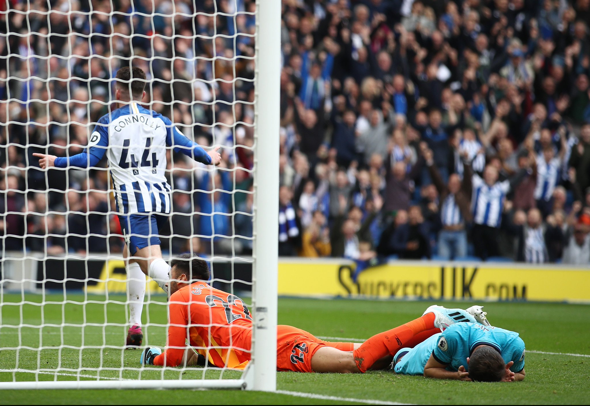 阵容的展望 阵容的展望